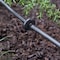 Raindrip Raindrip Spot Drip Irrigation Mini In-Line 1 gph 25 pk 117025B - alternate 2